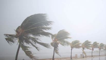 ರಾಜ್ಯಕ್ಕೂ ಮದ‘ಗಜ’ ಎಂಟ್ರಿ : ಎಲ್ಲೆಲ್ಲಾ ಸುರಿಯುತ್ತೆ ಮಳೆ..?