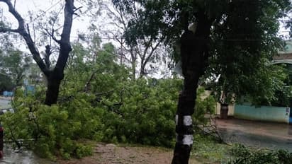 கஜா புயலுக்கு 2 பேர் பலி…. கடலூரில் சோகம் !!