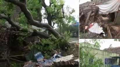തമിഴ്നാട്ടിൽ വ്യാപക നാശം വിതച്ച് 'ഗജ' ചുഴലിക്കാറ്റ്; നാല് മരണം