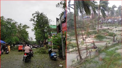 'ಗಜ'ಕ್ಕೆ ಆರು ಬಲಿ: ಸಂತ್ರಸ್ತರ ಕೇಂದ್ರಕ್ಕೆ 76 ಸಾವಿರ ಮಂದಿ ರವಾನೆ