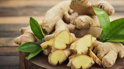 ಶುಂಠಿ ಬೆಳೆಗಾರರಿಗೆ ಬ್ಯಾಡ್ ನ್ಯೂಸ್