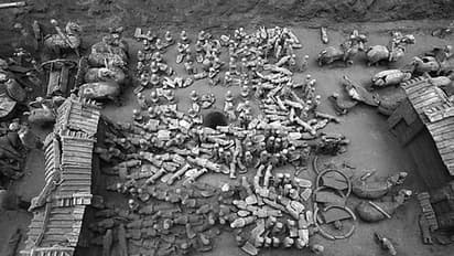 മണ്ണില് കുഴിച്ചിട്ട നിലയില് സൈനികരും കുതിരകളും!