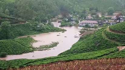 കനത്ത മഴ; കണ്ണൻദേവൻ കമ്പനിയുടെ നെറ്റിക്കുടി ഡിവിഷൻ വെള്ളത്തിലായി