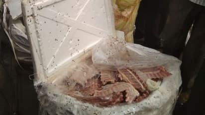 என்னது அது நாய்கறி இல்லையா? அது என்ன கறி? வெளியானது அதிர்ச்சித் தகவல்