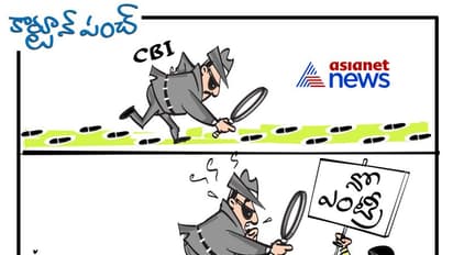 కార్టూన్ పంచ్