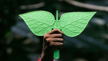 पार्टी सिंबल के लिए घूस देने का मामला, टीटीवी दिनाकरन पर आरोप तय