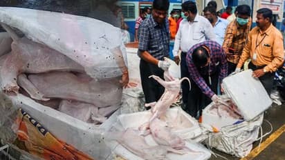 చెన్నై ఫ్లాట్ఫాంపై అనుమానాస్పద పార్శిల్... తెరిచి చూస్తే...