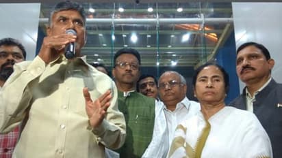 ఆమె బెంగాల్ టైగర్: మమతా బెనర్జీపై చంద్రబాబు ప్రశంసలు