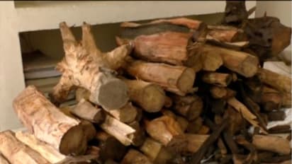 മറയൂരില് വനംവകുപ്പിന്റെ ചന്ദനവേട്ട; 85 കിലോ ചന്ദന തടി പിടികൂടി