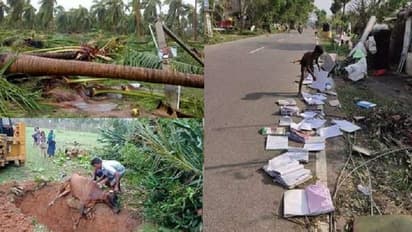 காணாமல் போன 6 கிராமங்கள்... தடம் தெரியாமல் தாண்டவம் ஆடி அழித்த கஜா!! அதிரவைக்கும் தகவல்...