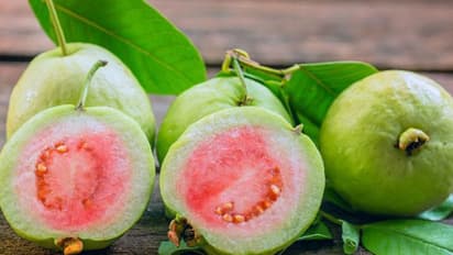 പേരക്ക കഴിക്കുന്നത് വയറിന് നല്ലതോ? വയറിന്റെ ആരോഗ്യം മെച്ചപ്പെടുത്താൻ കഴിക്കേണ്ടത് എന്തെല്ലാം?