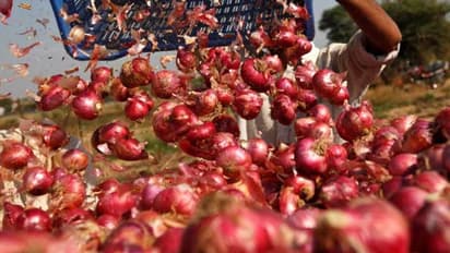 ഉള്ളി വില കൂപ്പുകുത്തി; കിലോയ്ക്ക് ഒരു രൂപ വരെ