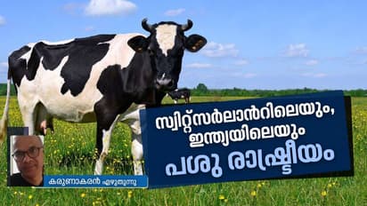 'പശുക്കള്ക്ക് കൊമ്പ് വേണോ, വേണ്ടയോ'?