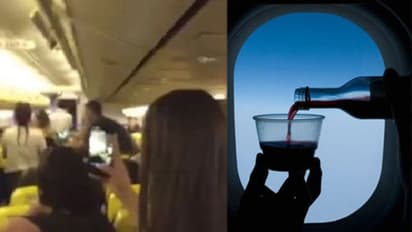 മദ്യപിച്ച് 'ഫിറ്റാ'യി വിമാനത്തിനുള്ളില് ബഹളമുണ്ടാക്കിയ ഇന്ത്യന് വംശജയ്ക്ക് ആറുമാസം തടവ്