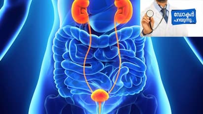 വൃക്കകളിലും മൂത്രസഞ്ചിയിലും ഉണ്ടാകുന്ന ക്യാന്സര്; കൂടുതലായി കണ്ട് വരുന്നത് പുരുഷന്മാരിൽ, ഡോ. അരുണ് സംസാരിക്കുന്നു