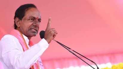 తాజా సర్వే : 106 సీట్లలో టీఆర్ఎస్దే విజయం: కేసీఆర్