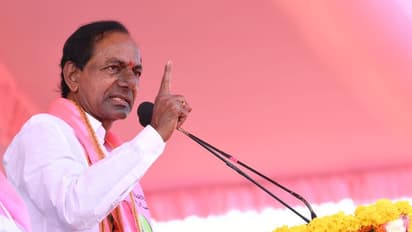 #Semifinals18: Telangana CM KCR calls Chandrababu Naidu ‘mental’