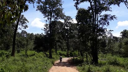 ലഹരി വിളയുന്ന അതിര്ത്തി ഗ്രാമങ്ങള്; ഇരകളായി ആദിവാസി കുടുംബങ്ങള്