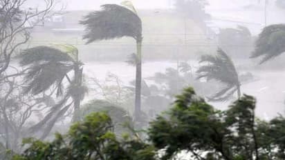 கமல் பாணியில் பேசிய அமைச்சர்…. மத்திய அரசு புயல் நிவாரணம் வழங்கவில்லை என்றால் நாட்டைவிட்டு வெளியேறுவதைத் தவிர வேறு வழியில்லை…