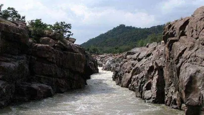 Mekedatu project: Tamil Nadu political parties stage separate sit-in protests