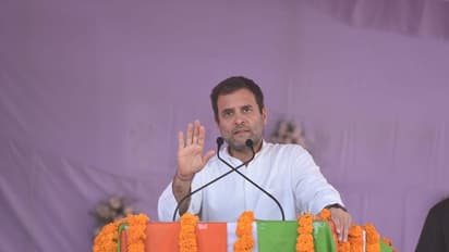 ఒకే వేదికపై రాహుల్ గాంధీ, చంద్రబాబు (ఫోటోలు)