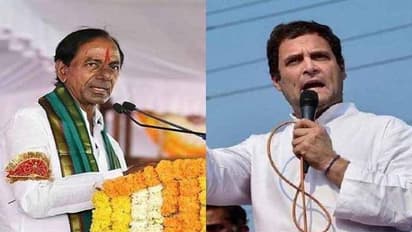 తెలంగాణతో కేసీఆర్ కుటుంబానికి ఉద్యోగాలొచ్చాయి: రాహుల్