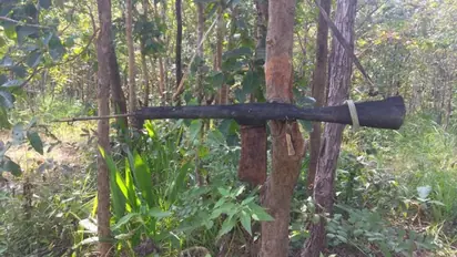 Chhattisgarh naxals' latest dodging tactics: Dummy guns, effigies