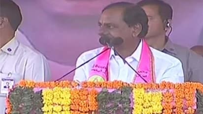 లగడపాటివి వెకిలి సర్వేలు, ప్రజలు ఆగం కావొద్దు:కేసీఆర్