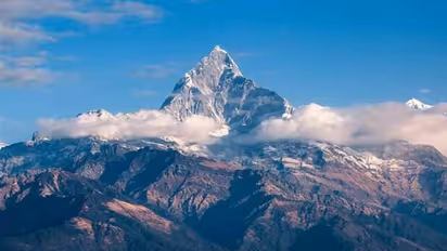 8 died while collecting 'Himalayan viagra' in Nepal