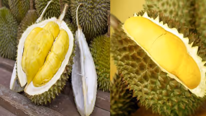 ವಿಶ್ವದ ಅತೀ ದುರ್ಗಂಧದ ಹಣ್ಣಿದು..!