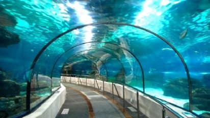 ಮುಂಬೈನಿಂದ ದುಬೈಗೆ ಕೇವಲ 2 ಗಂಟೆ ಪ್ರಯಾಣ, ಸಮುದ್ರದಡಿಯಿಂದ ರೈಲು ಸೇವೆಗೆ UAE ಪ್ಲಾನ್