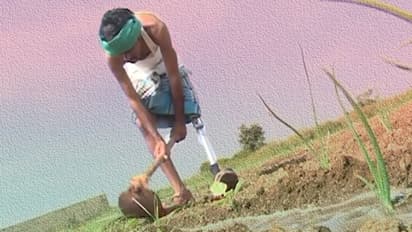 പാടത്ത് വീണ്ടും നിർമാണ പ്രവർത്തനങ്ങൾ തുടങ്ങി; പാലക്കാട് കർഷക പ്രതിഷേധം