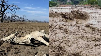 എല്‍നിനോ വരുന്നു: പ്രളയവും വരള്‍ച്ചയും വീണ്ടും എത്തും