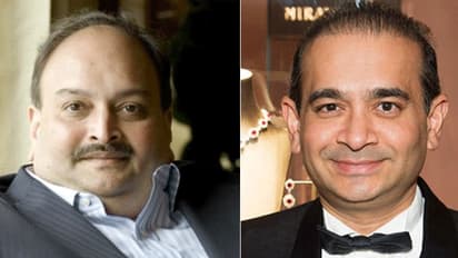 अगले सप्ताह मेहुल चोकसी को लाया जा सकता है भारत!