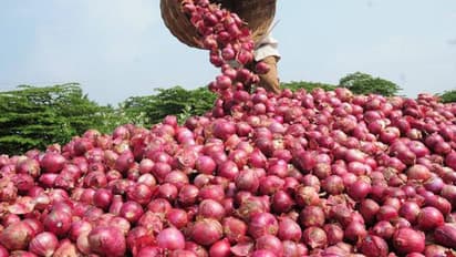 ಬಜೆಟ್‌ಗೂ ಮುನ್ನವೇ ಆಫರ್: ಈರುಳ್ಳಿ ಬೆಳೆಗಾರರಿಗೆ ಬಂಪರ್!