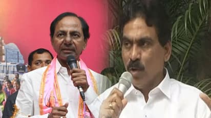 క్లూ ఇచ్చిన లగడపాటి: గజ్వేల్‌లో కేసీఆర్ డౌట్