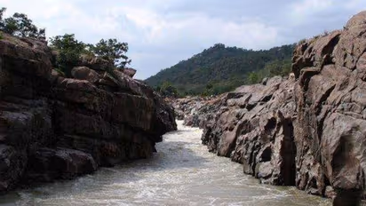 Mekedatu dam: Tamil Nadu objects to Central committee’s decision to discuss Karnataka’s proposal