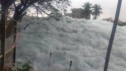 झीलों की रक्षा में विफल रही कर्नाटक सरकार पर एनजीटी ने लगाया 50 करोड़ का जुर्माना