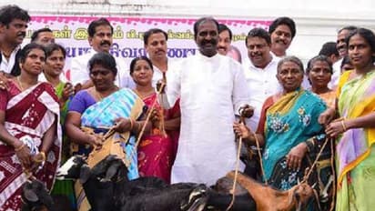 ஆயிரம் குடும்பங்களுக்கு ஆடுகள் வழங்கிய கவிஞர் வைரமுத்து !! டெல்டா மாவட்ட மக்ளுக்கு ஆறுதல் !!