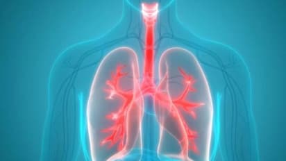 পাতে রাখুন এই ৫ খাদ্য, দূষণের হাত থেকে ফুসফুস পরিশুদ্ধ ও সুস্থ রাখতে সাহায্য করে