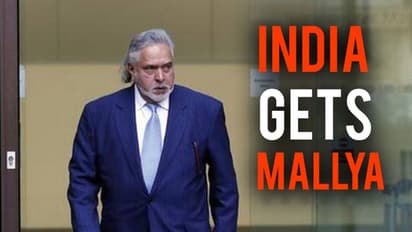 Vijay Mallya ordered to be extradited to India: Mehul Choksi, Nirav Modi next?