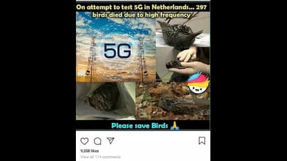 5ಜಿ ಪ್ರಯೋಗದಿಂದ ಮೃತಪಟ್ಟ 297 ಪಕ್ಷಿಗಳು?