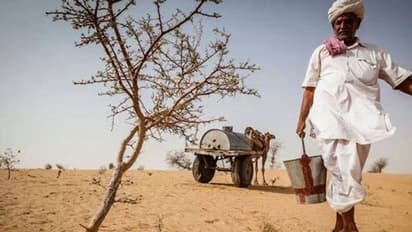 എഴുപത്തിയെട്ടാമത്തെ വയസാകുമ്പോഴേക്കും മണല്ക്കാട്ടില് നട്ടുവളര്ത്തിയത് 50,000 മരങ്ങള്