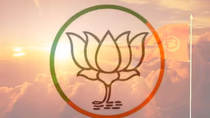 How vikas narrative minus Hindutva failed BJP in state elections