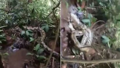 ലക്ഷങ്ങള്‍ കണ്ട വൈറല്‍ വീഡിയോ; വൈറലായത് വെറുതെയല്ലെന്ന് കണ്ടവര്‍...