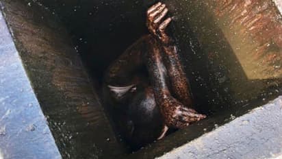 ഹോട്ടലില്‍ മോഷ്ടിക്കാന്‍ കയറി; അനങ്ങാനാകാതെ കള്ളന്‍ കുടുങ്ങിയത് 2 ദിവസം