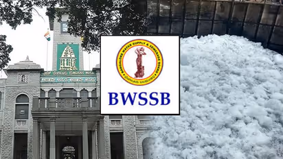 The culprits behind Bellandur and Varthur lake disaster