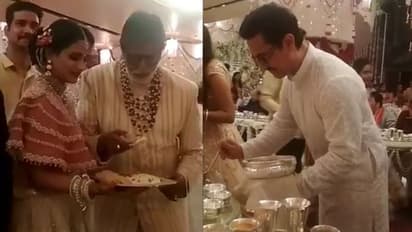 Thugs of Hindostan stars Amitabh Bachchan, Aamir Khan spotted serving food at Isha Ambani reception