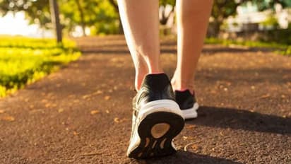 വൈകുന്നേരം നടക്കുന്ന ശീലമുണ്ടോ? എങ്കിലറിയാം...