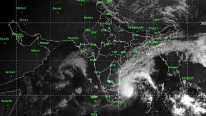 పెథాయ్ తుఫాన్: కాకినాడను కాపాడిన కోరంగ అడవులు